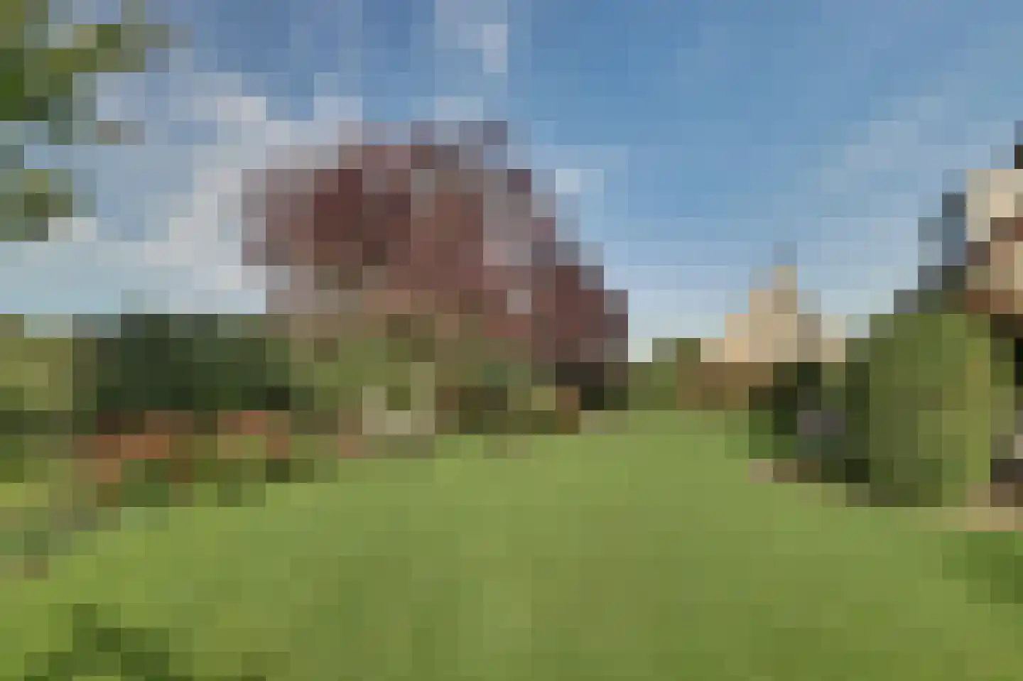 Sterappelstraat 37 Kapelle thumbnail 57