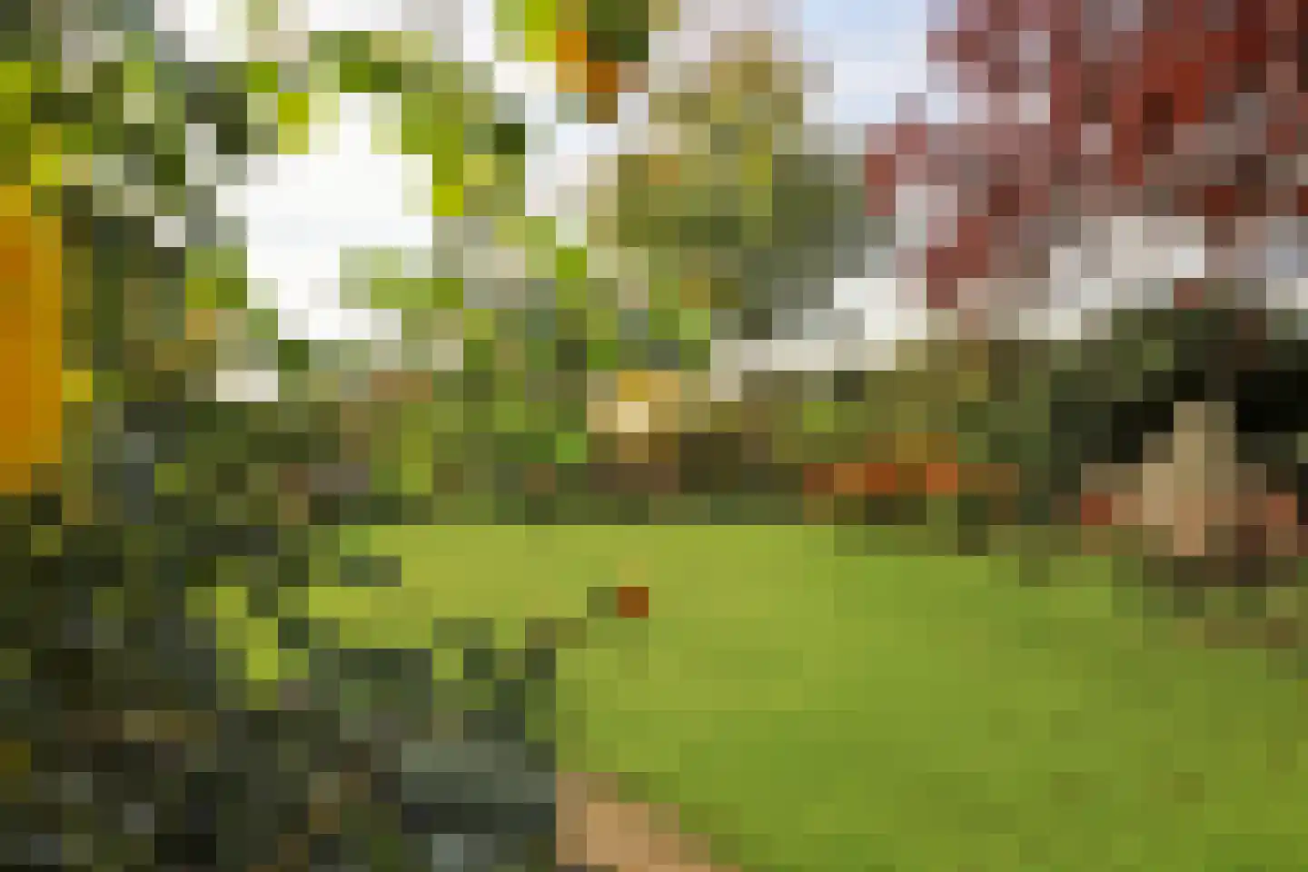 Sterappelstraat 37 Kapelle thumbnail 59