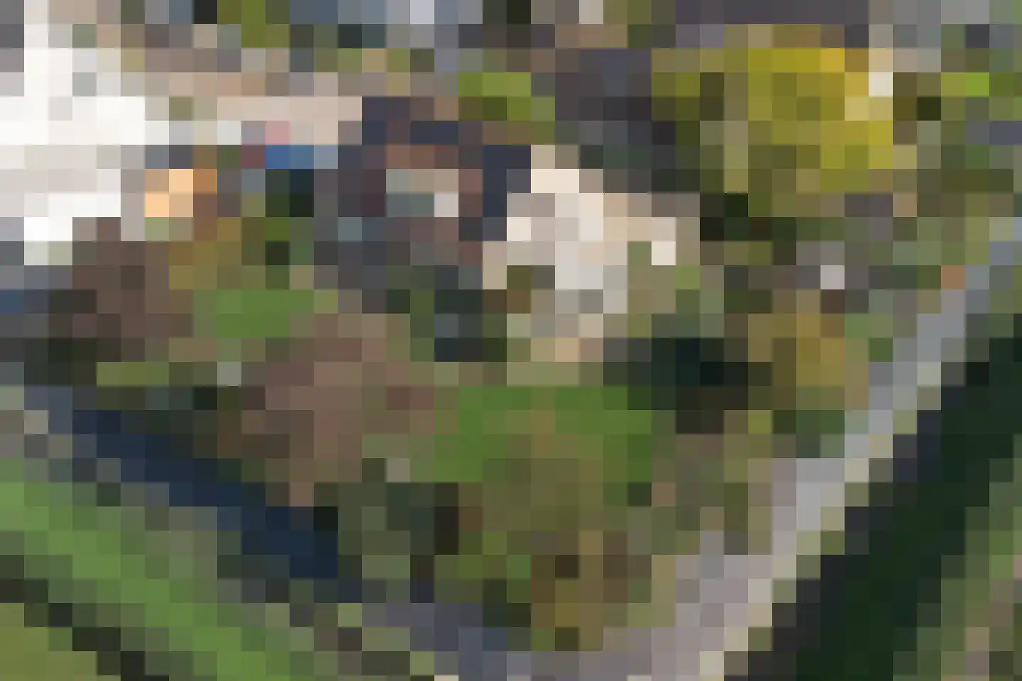 Sterappelstraat 37 Kapelle thumbnail 67