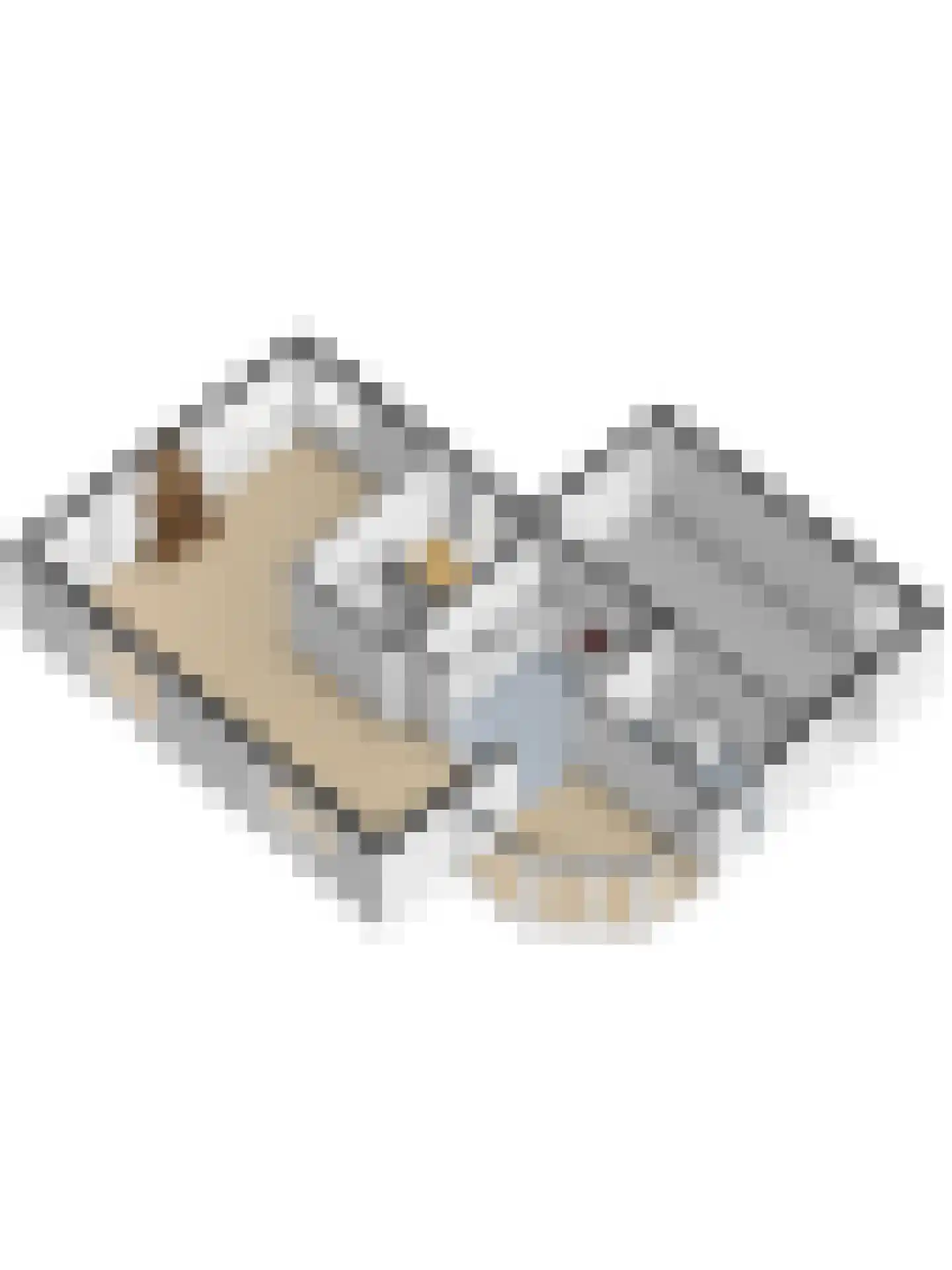 Sterappelstraat 37 Kapelle thumbnail 74