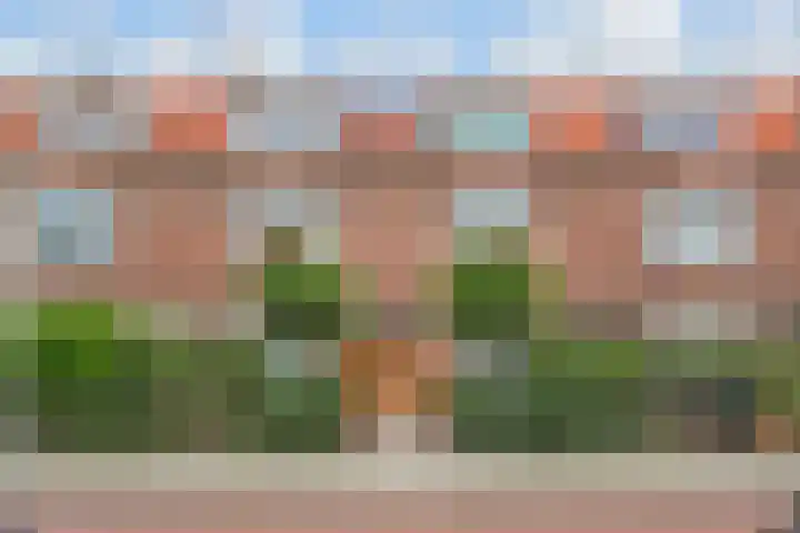 Sterappelstraat 51 in Den Haag