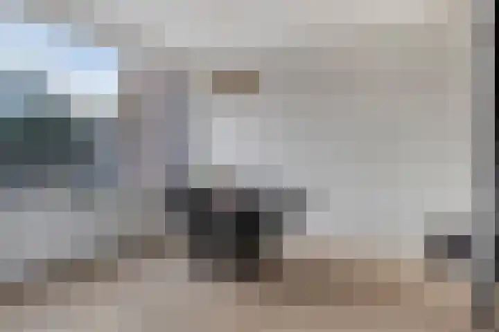 Sterappelstraat 7 Eindhoven thumbnail 11