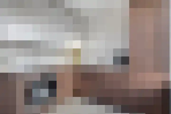 Sterappelstraat 7 Eindhoven thumbnail 13