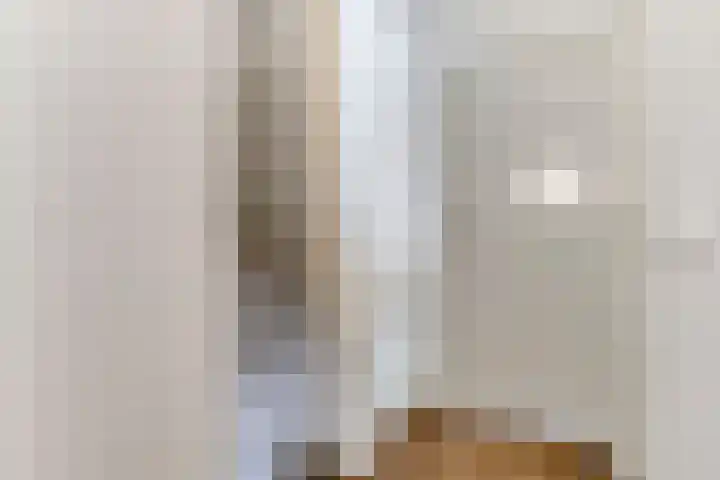 Sterappelstraat 7 Eindhoven thumbnail 15