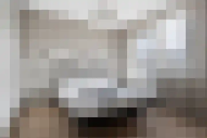Sterappelstraat 7 Eindhoven thumbnail 17