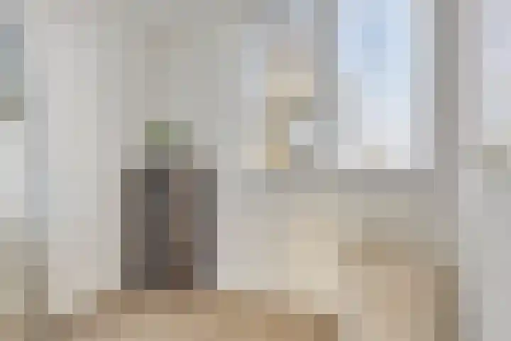 Sterappelstraat 7 Eindhoven thumbnail 19