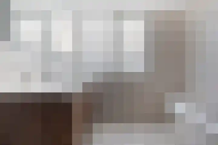 Sterappelstraat 7 Eindhoven thumbnail 20
