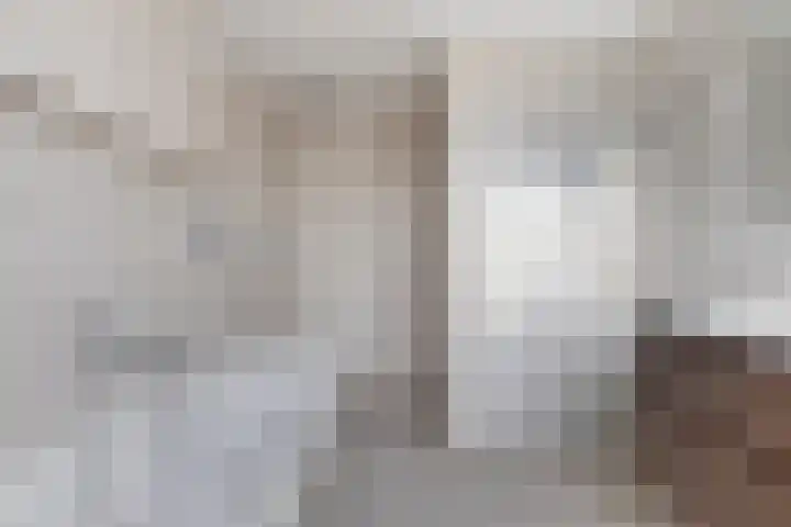 Sterappelstraat 7 Eindhoven thumbnail 21