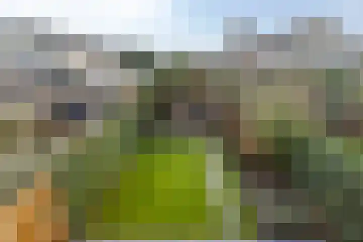 Sterappelstraat 7 Eindhoven thumbnail 26