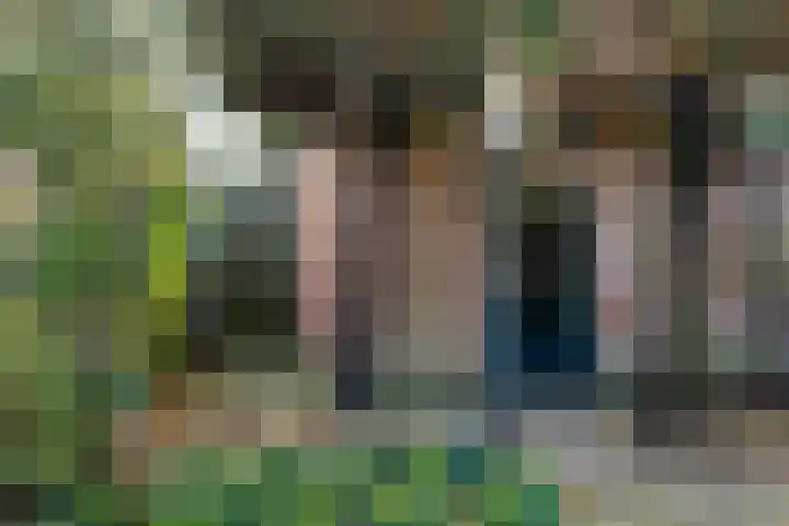 Sterappelstraat 7 Eindhoven thumbnail 28