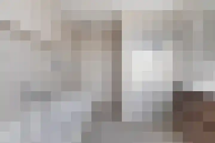 Sterappelstraat 7 Eindhoven thumbnail 4