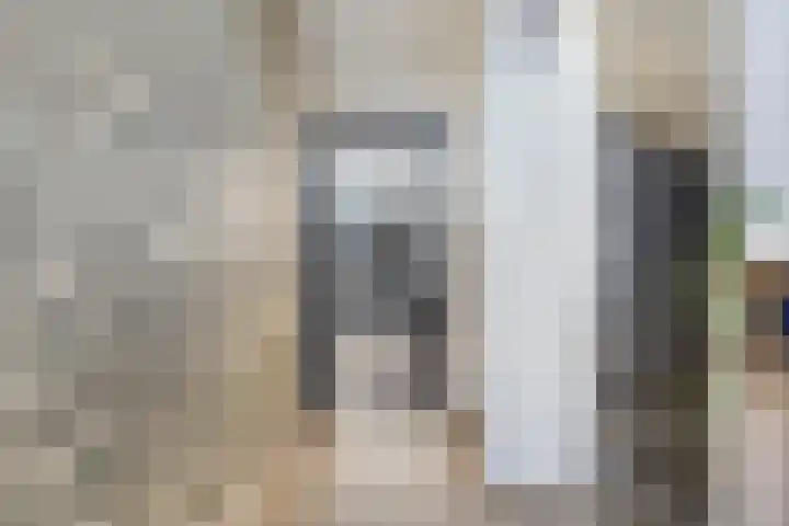 Sterappelstraat 7 Eindhoven thumbnail 6