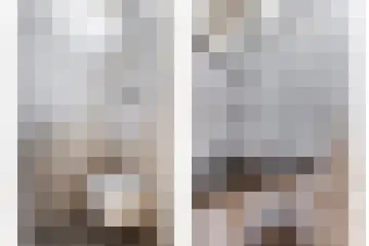 Sterappelstraat 7 Eindhoven thumbnail 7