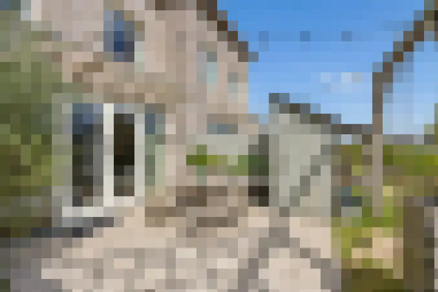Sterduinstraat 115 Almere thumbnail 20