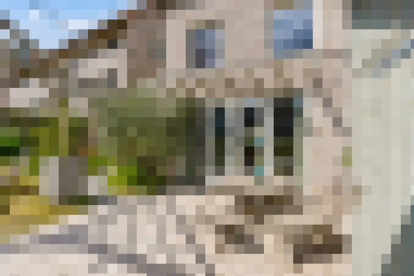 Sterduinstraat 115 Almere thumbnail 24