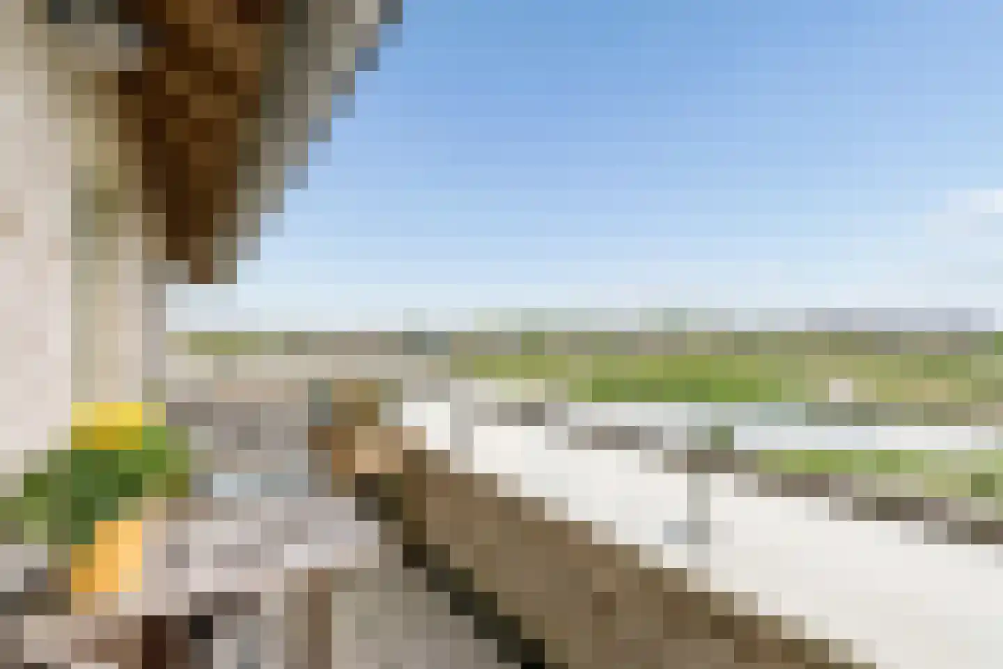 Sterduinstraat 115 Almere thumbnail 43