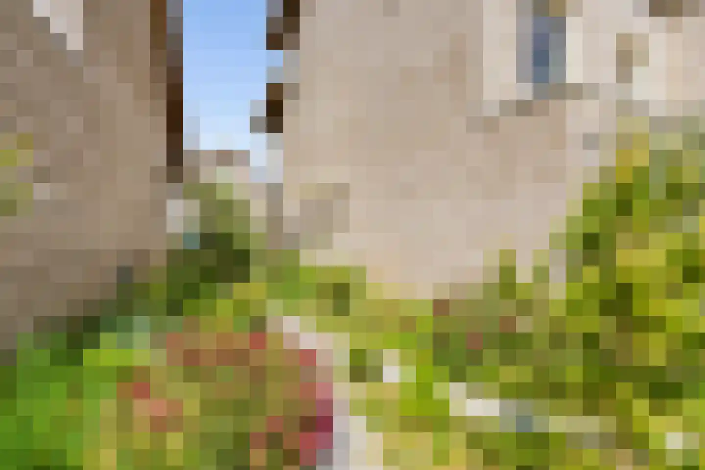 Sterduinstraat 115 Almere thumbnail 48