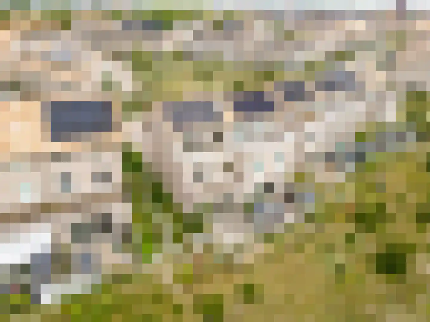 Sterduinstraat 115 Almere thumbnail 55