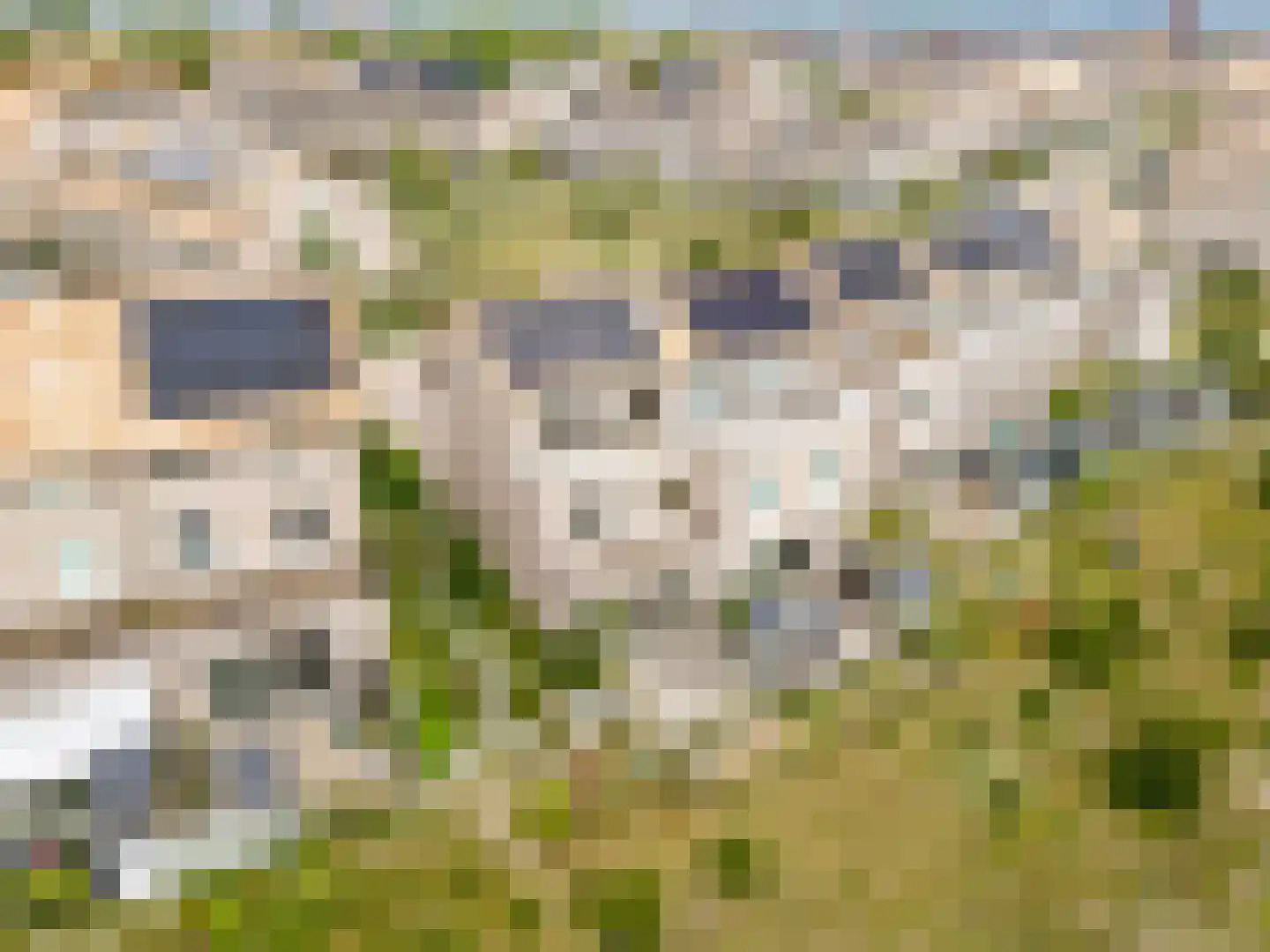 Sterduinstraat 115 Almere thumbnail 55