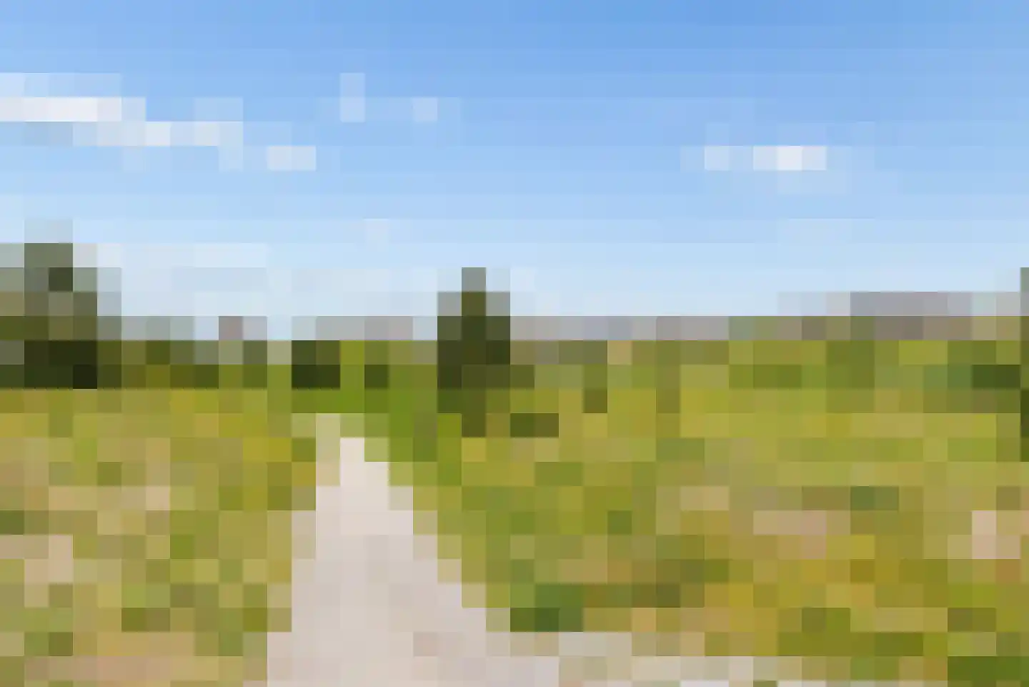Sterduinstraat 115 Almere thumbnail 56