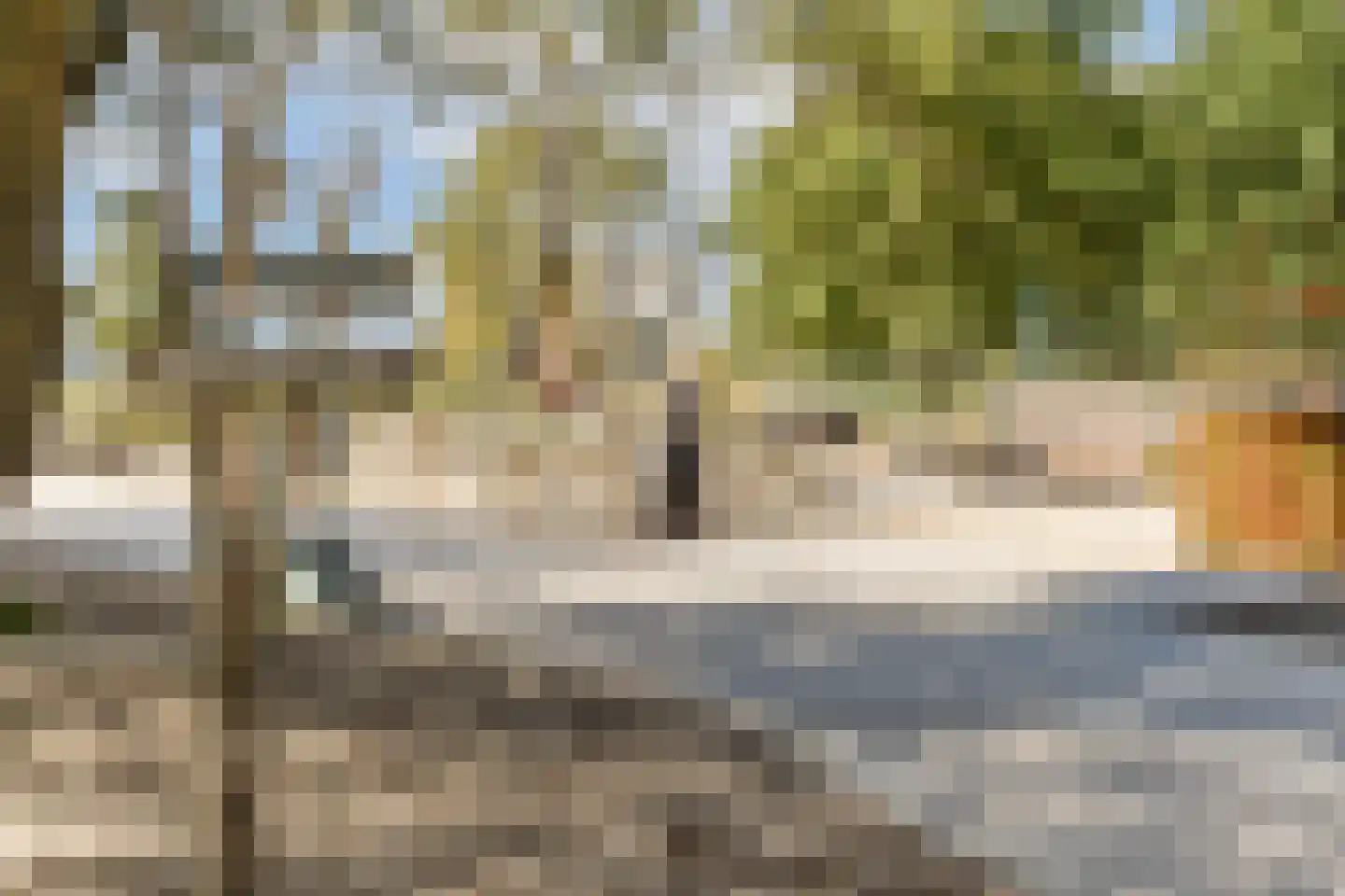 Sterduinstraat 115 Almere thumbnail 61