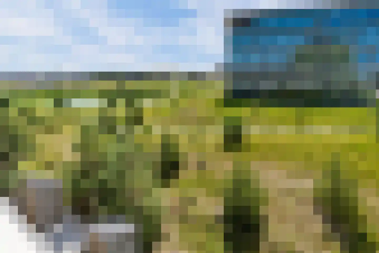 Sterduinstraat 129 Almere thumbnail 63