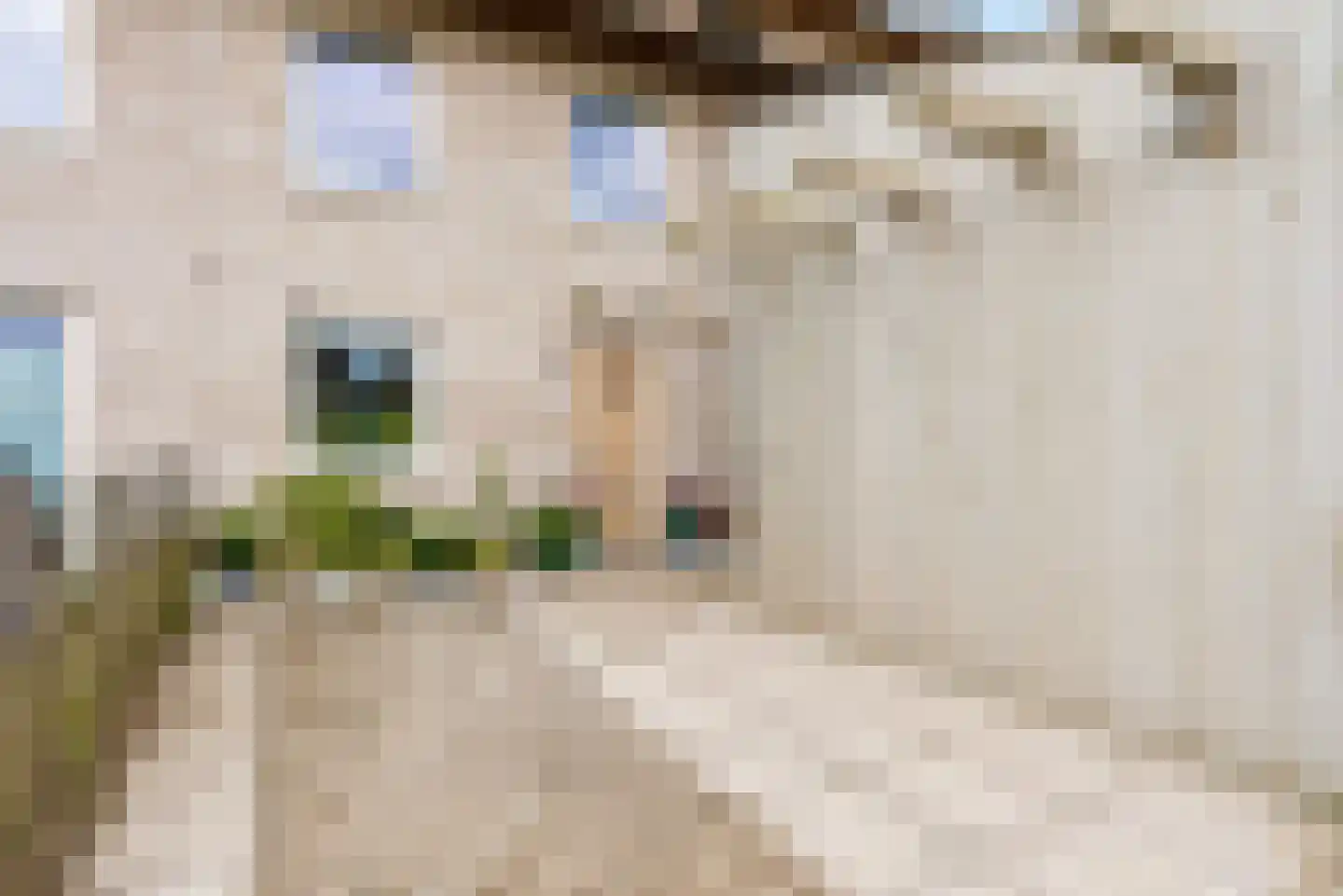 Sterduinstraat 129 Almere thumbnail 8