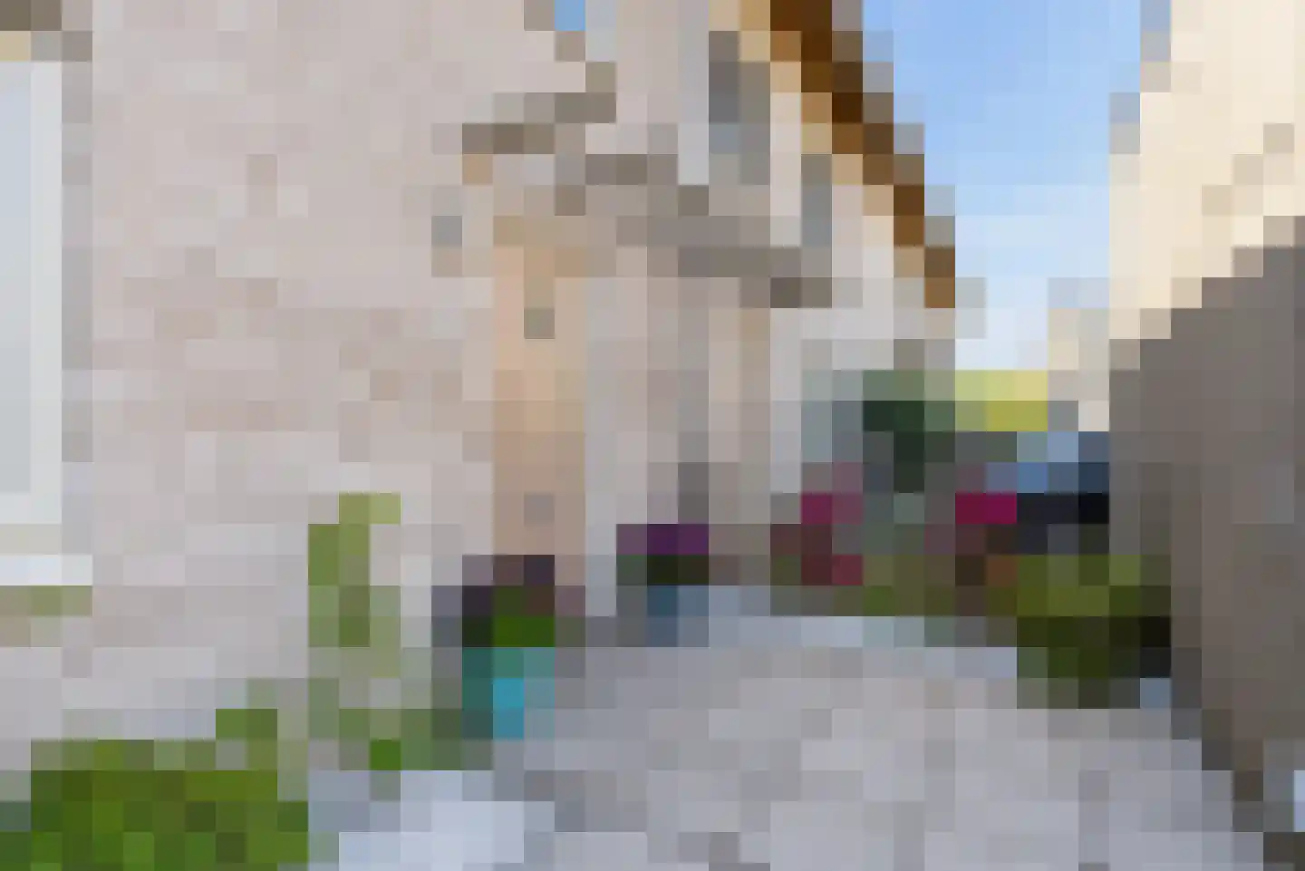 Sterduinstraat 129 Almere thumbnail 9