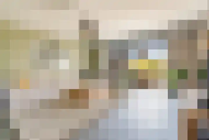 Sterduinstraat 137 Almere thumbnail 11
