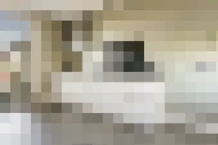 Sterduinstraat 137 Almere thumbnail 20