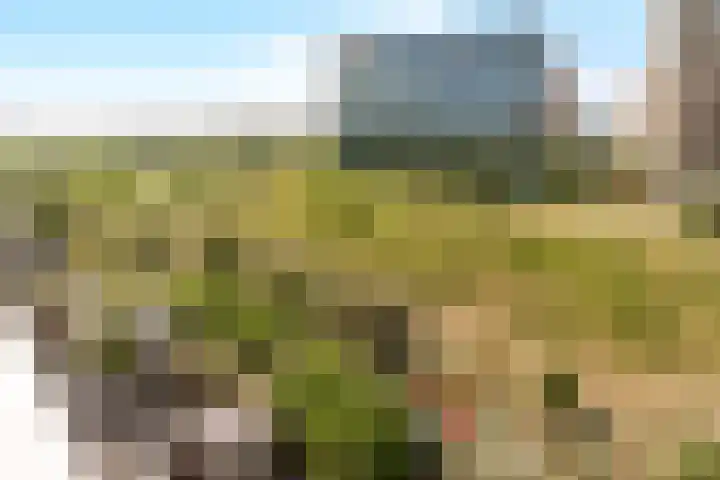 Sterduinstraat 137 Almere thumbnail 41