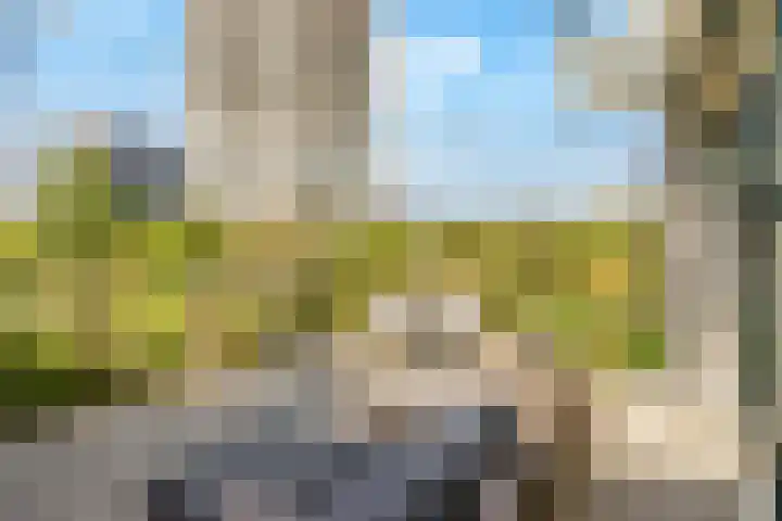 Sterduinstraat 137 Almere thumbnail 43