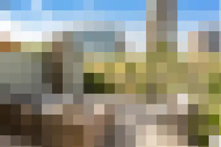 Sterduinstraat 137 Almere thumbnail 44
