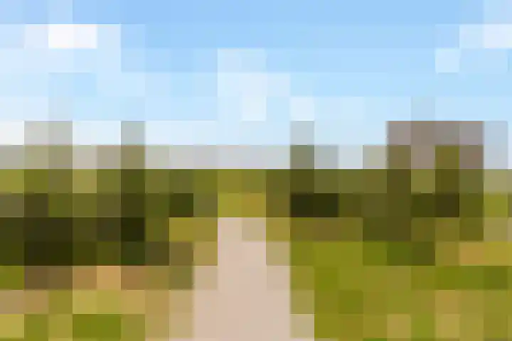 Sterduinstraat 137 Almere thumbnail 53