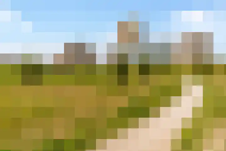 Sterduinstraat 137 Almere thumbnail 54