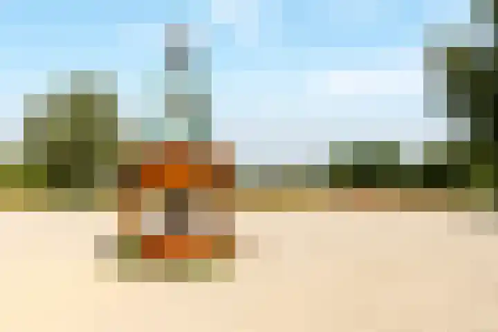 Sterduinstraat 137 Almere thumbnail 57