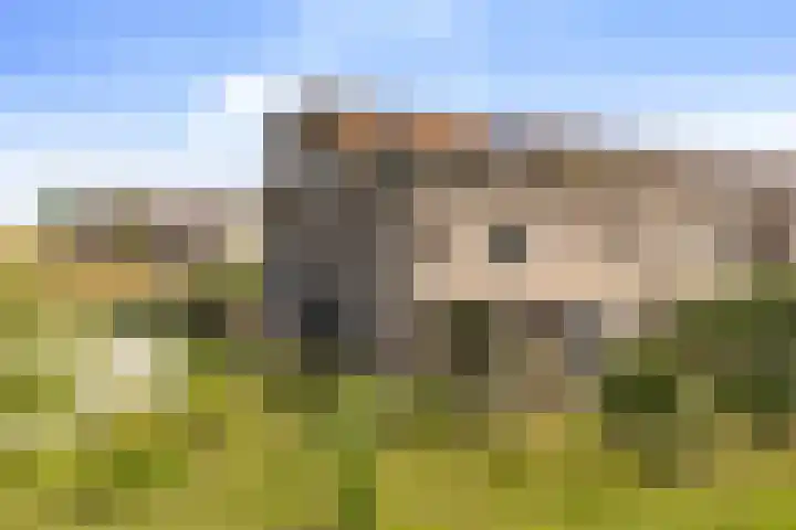 Sterduinstraat 137 Almere thumbnail 69