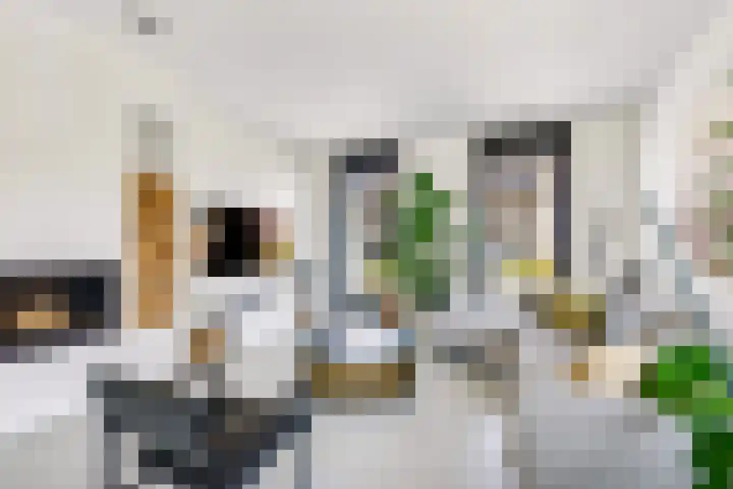 Sterduinstraat 24 Almere thumbnail 13