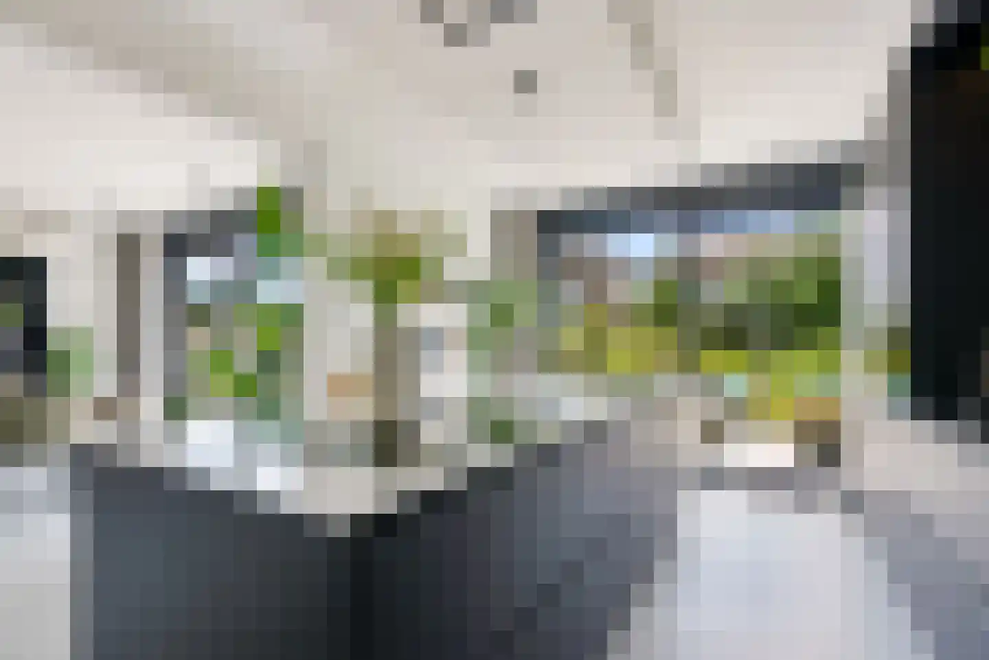 Sterduinstraat 24 Almere thumbnail 26