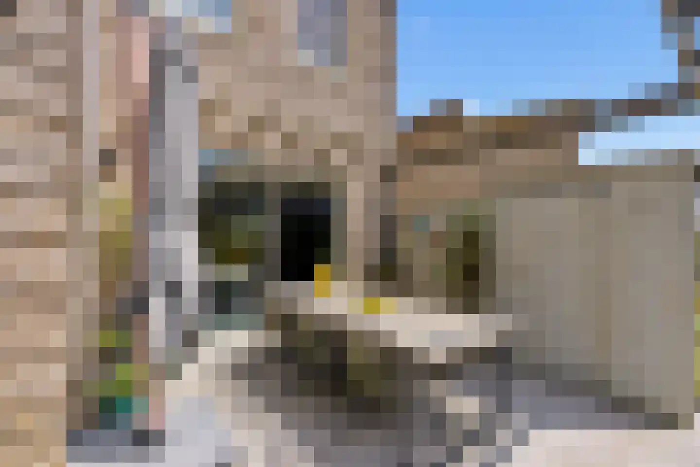 Sterduinstraat 24 Almere thumbnail 34