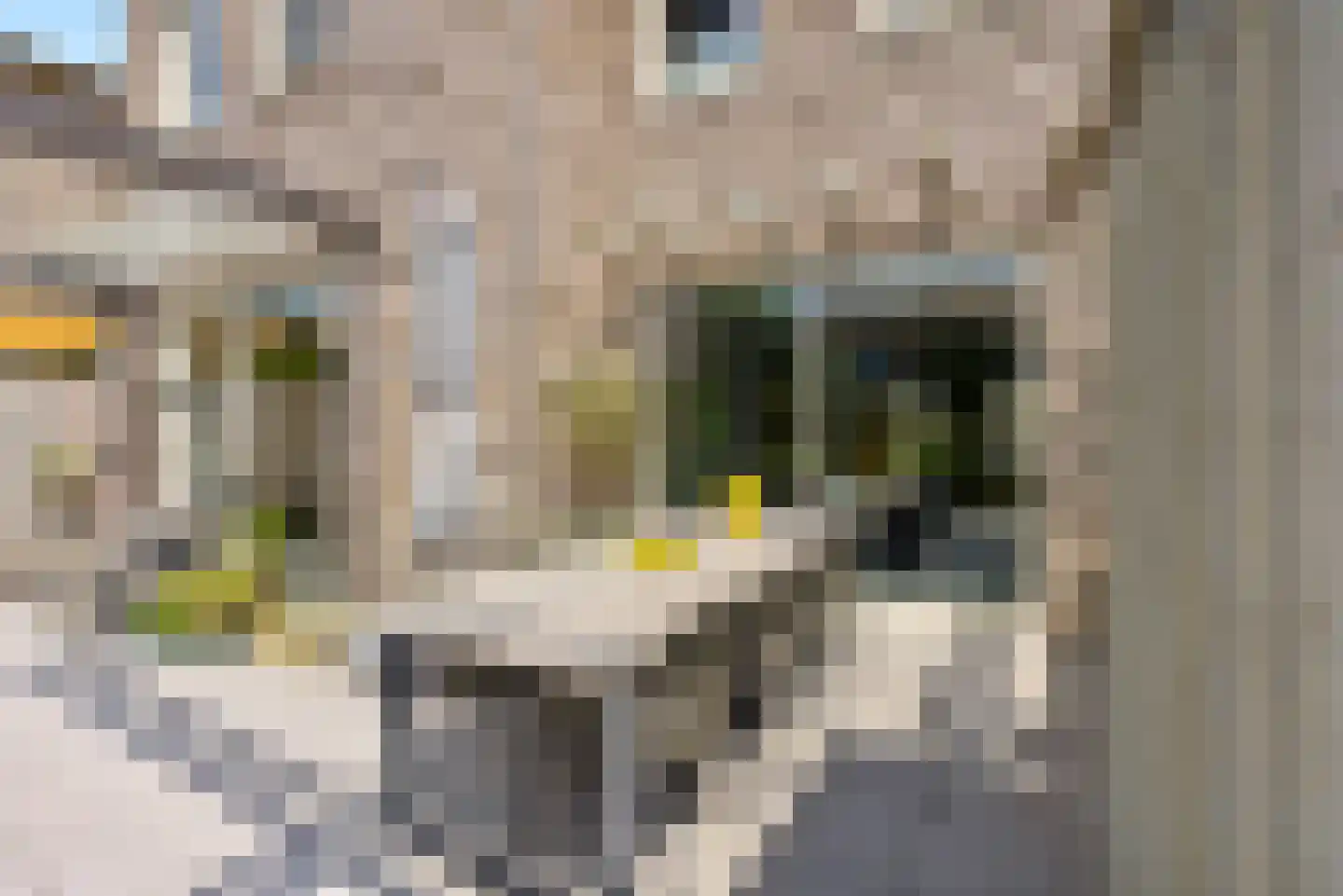 Sterduinstraat 24 Almere thumbnail 35