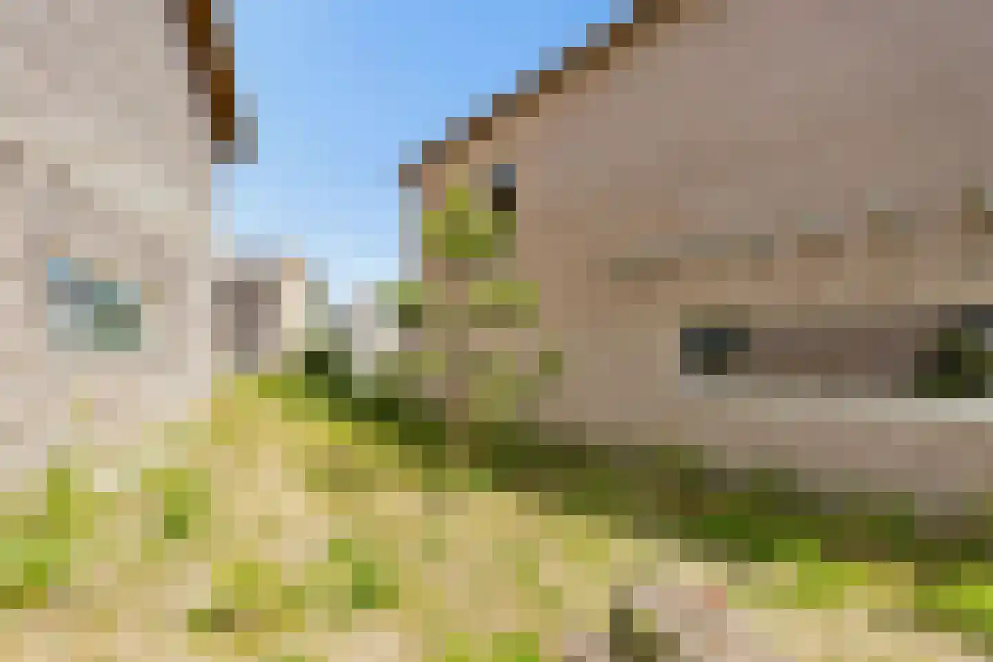Sterduinstraat 24 Almere thumbnail 38