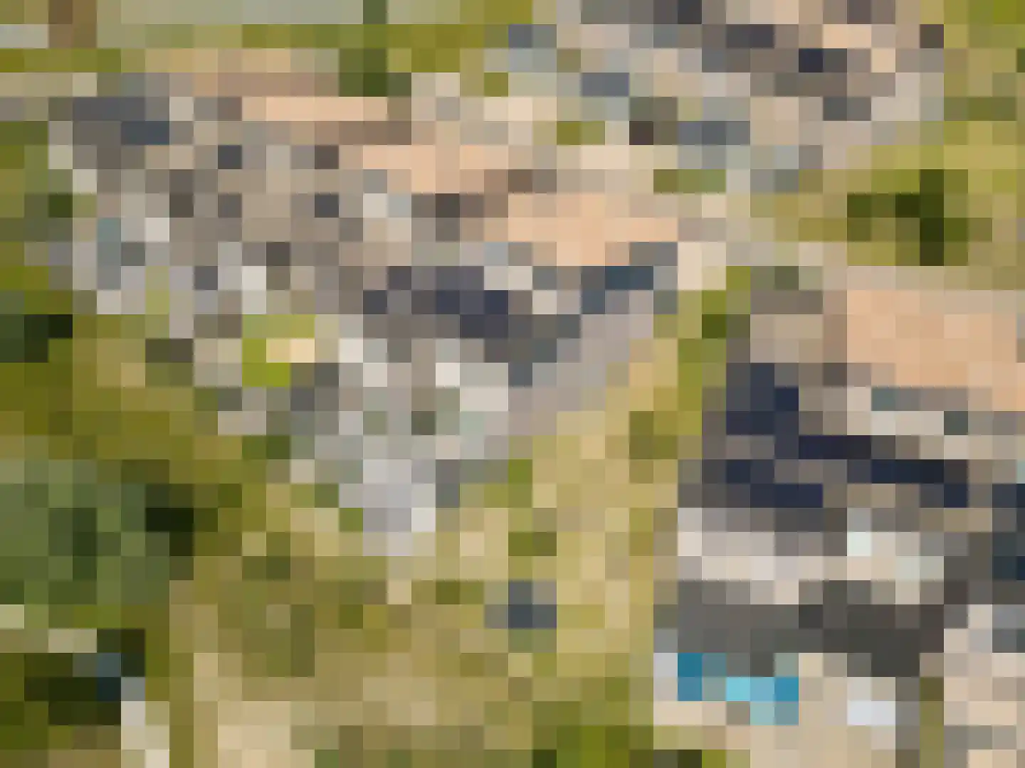 Sterduinstraat 24 Almere thumbnail 40