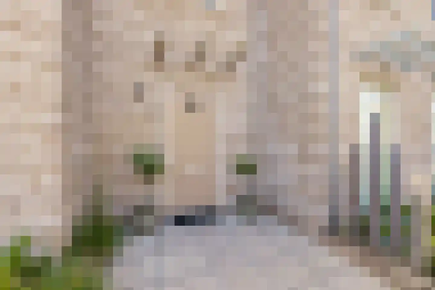 Sterduinstraat 24 Almere thumbnail 9