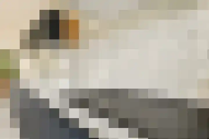 Sterduinstraat 31 Almere thumbnail 11