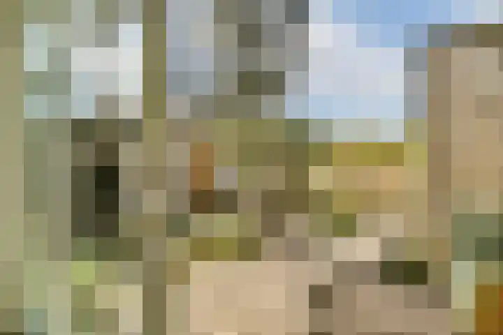 Sterduinstraat 31 Almere thumbnail 13