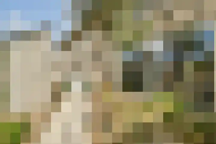 Sterduinstraat 31 Almere thumbnail 14