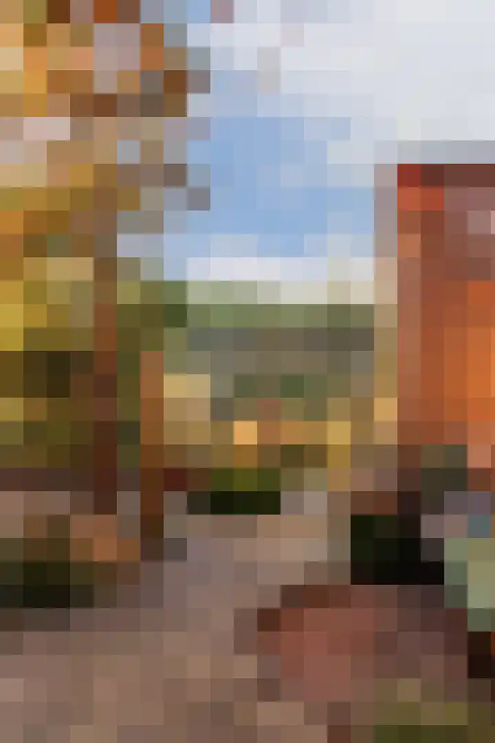 Sterduinstraat 31 Almere thumbnail 17
