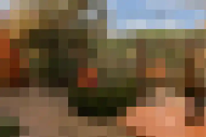 Sterduinstraat 31 Almere thumbnail 18