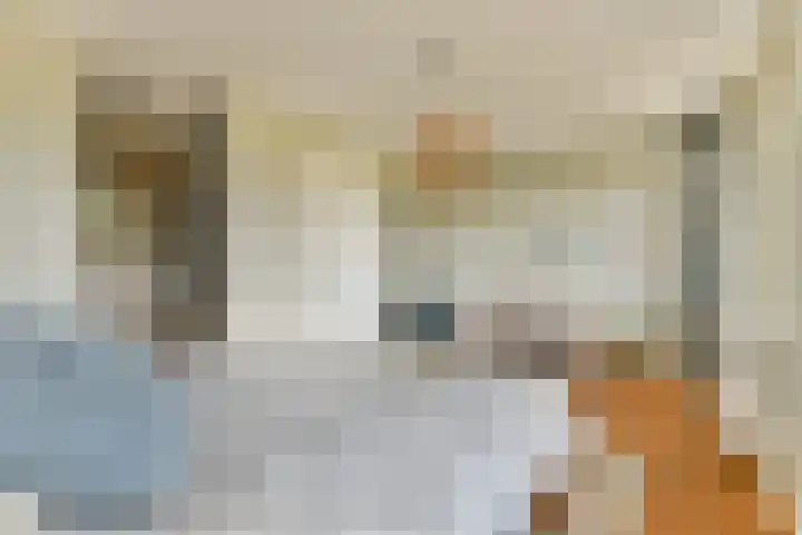 Sterduinstraat 31 Almere thumbnail 23